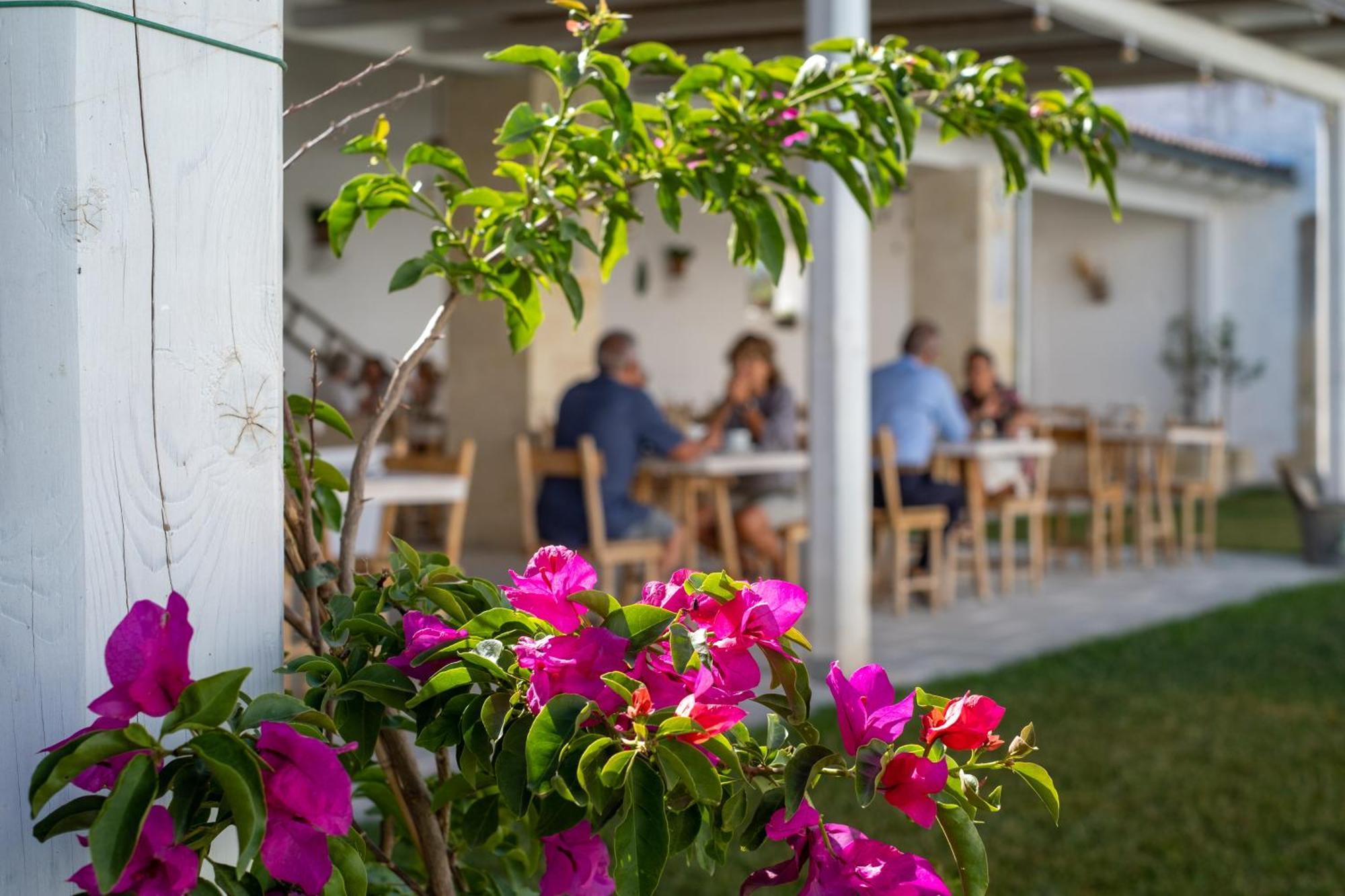 Hotel Masseria Rauccio Torre dell'Orso