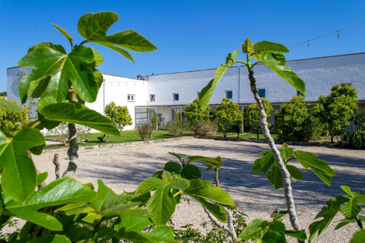 Masseria Rauccio